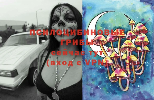 apvp Пролетарск