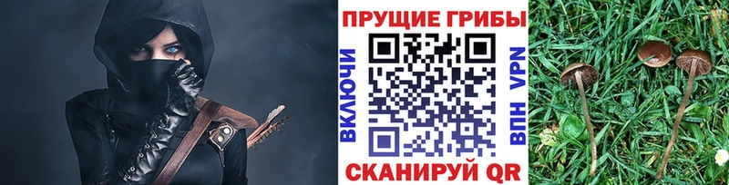Купить закладки  Шлиссельбург  Галлюциногенные грибы прущие грибы 